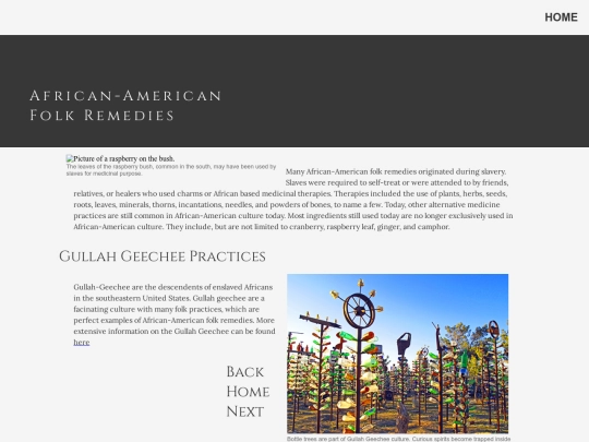 africanamerican screenshot