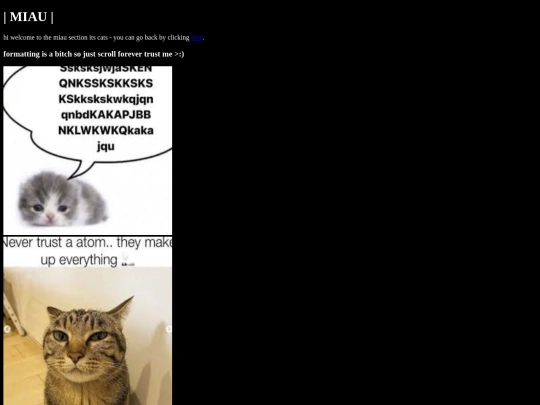 miau screenshot