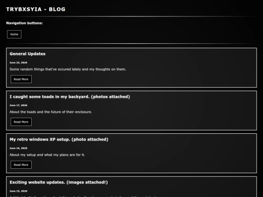 blog screenshot