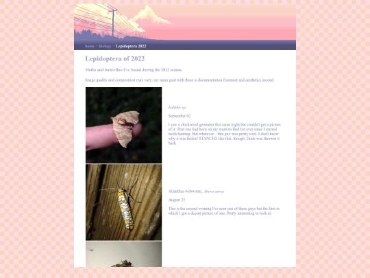biology/lepidoptera-2022 screenshot