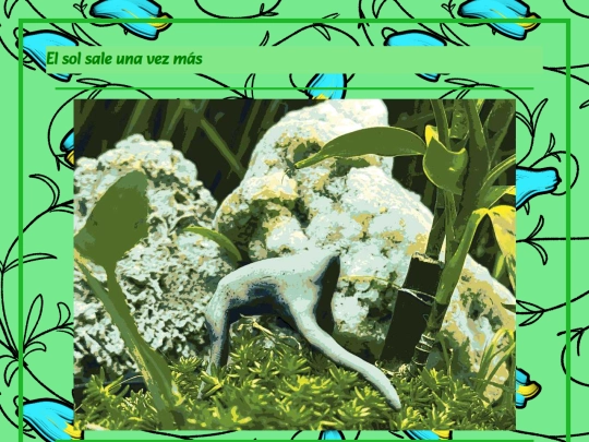 animals screenshot