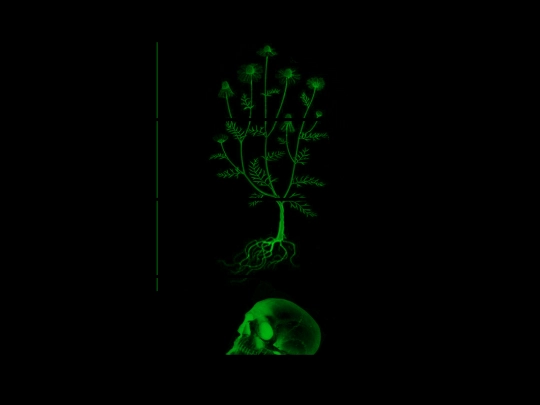 ciclico/botanicCycle screenshot