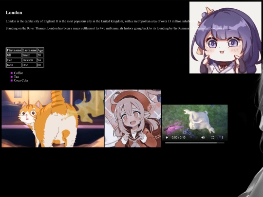 D1/css screenshot