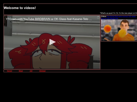 Birdbrain screenshot