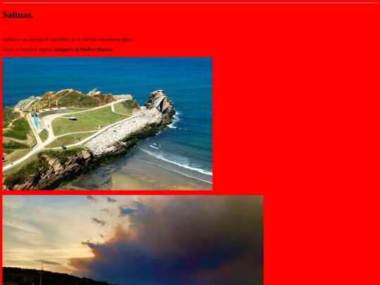 Salinas screenshot