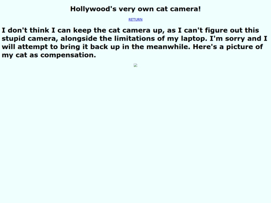 v2/catcamera screenshot