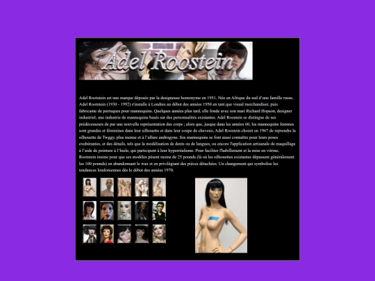 blog/adel-roostein screenshot