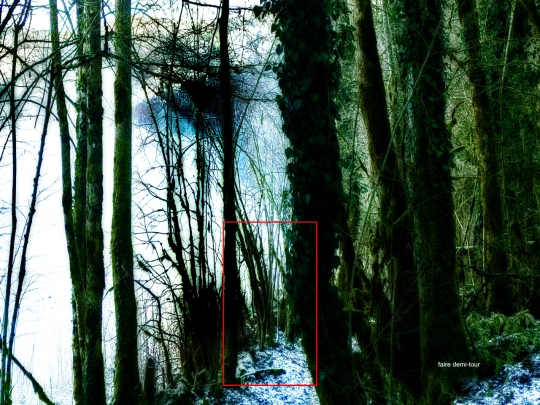 promenade/a-droite screenshot