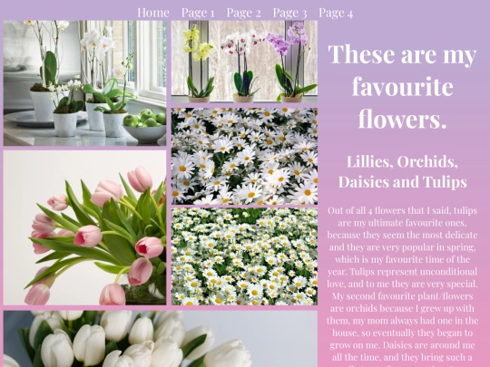 page3 screenshot