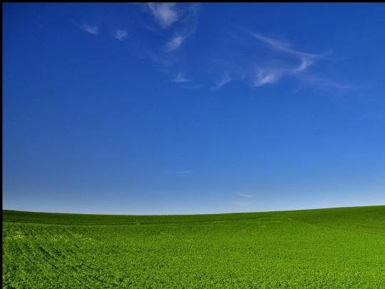 sumino screenshot