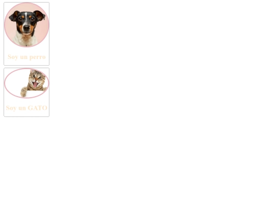 Actividad 3/prro screenshot