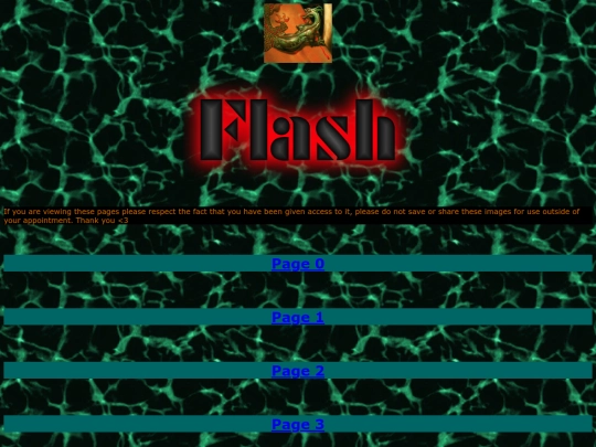 flash screenshot