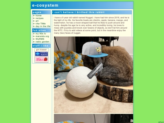 pets screenshot