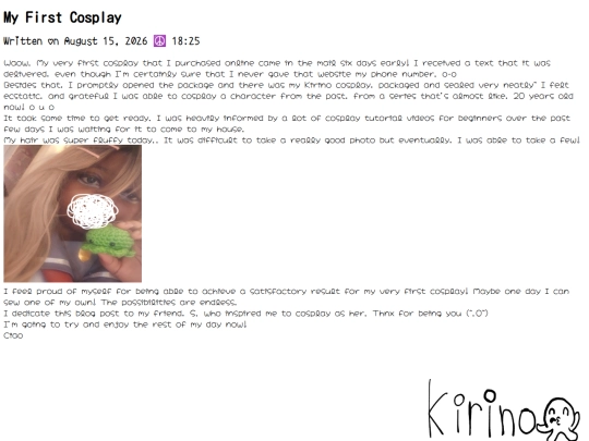 blog screenshot