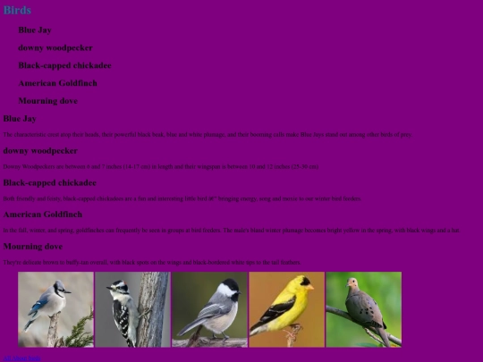 birds screenshot