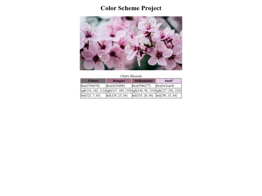 color-scheme screenshot