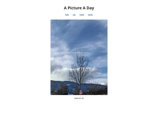 pages/2025/2025-01-25 screenshot