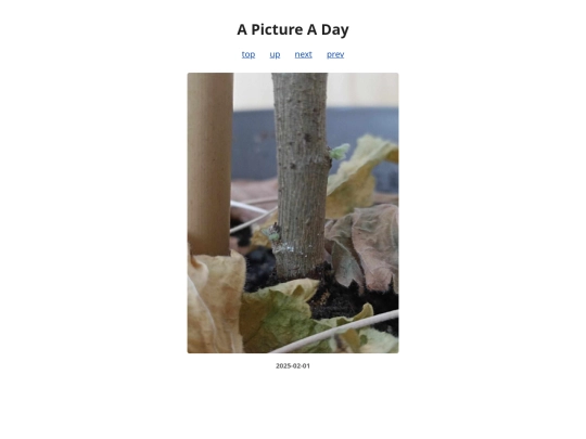 pages/2025/2025-02-01 screenshot