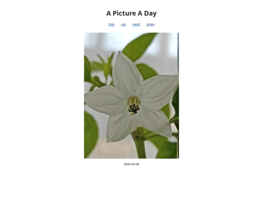 pages/2025/2025-02-06 screenshot