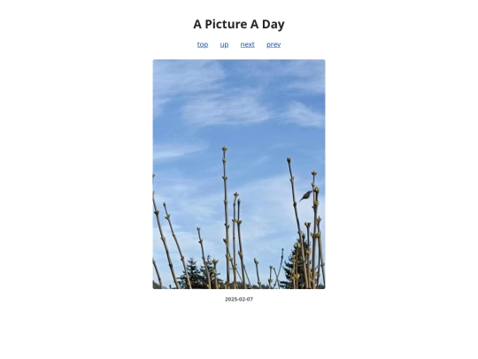 pages/2025/2025-02-07 screenshot