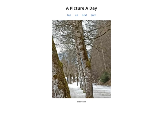 pages/2025/2025-02-08 screenshot
