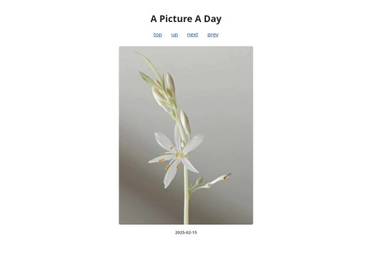 pages/2025/2025-02-15 screenshot
