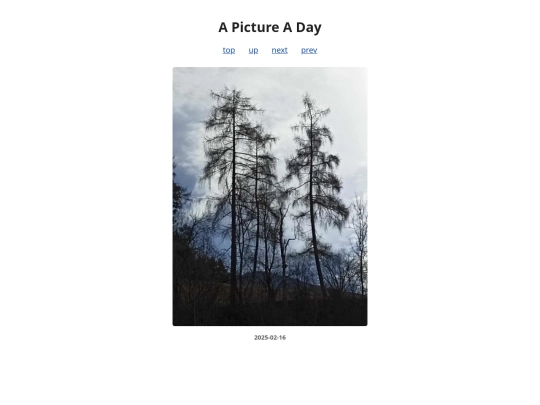 pages/2025/2025-02-16 screenshot