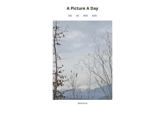 pages/2025/2025-02-25 screenshot