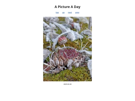 pages/2025/2025-02-28 screenshot