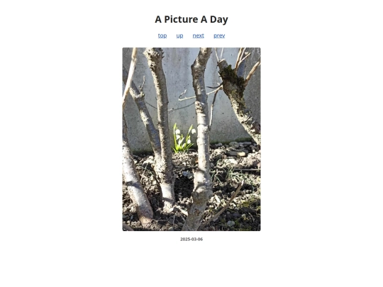 pages/2025/2025-03-06 screenshot