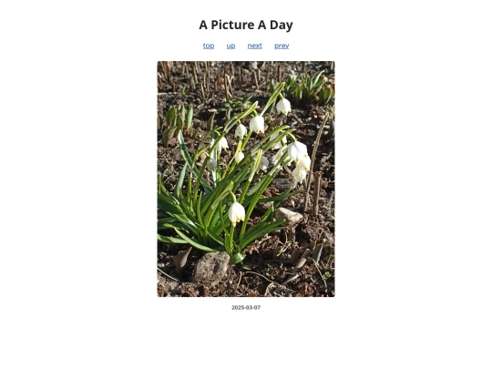 pages/2025/2025-03-07 screenshot