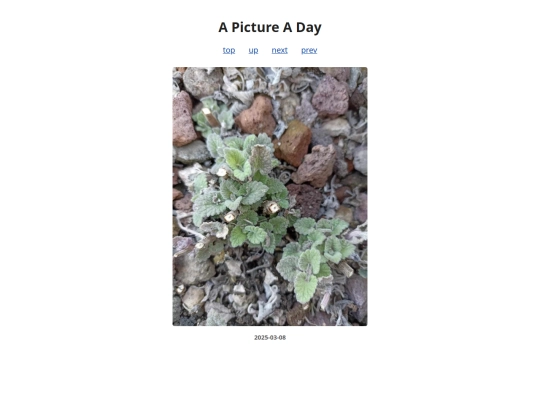 pages/2025/2025-03-08 screenshot