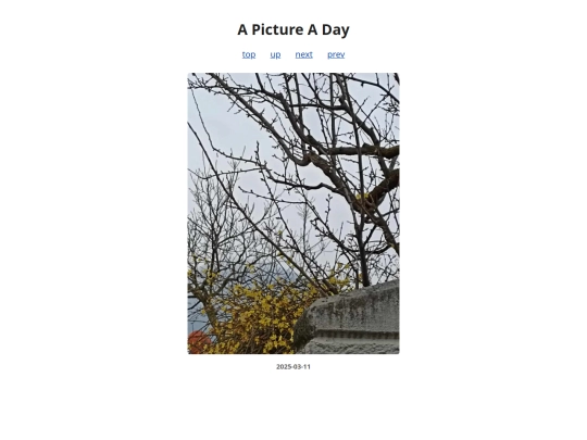 pages/2025/2025-03-11 screenshot