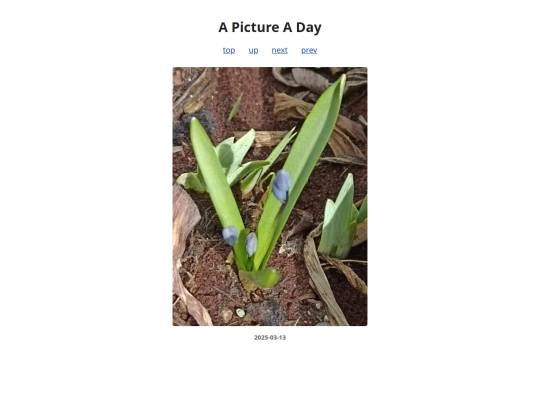 pages/2025/2025-03-13 screenshot