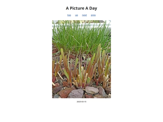 pages/2025/2025-03-15 screenshot