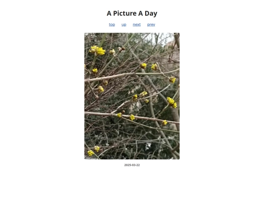pages/2025/2025-03-22 screenshot
