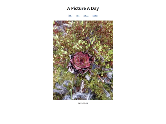 pages/2025/2025-03-23 screenshot