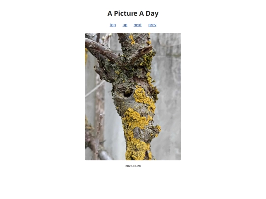 pages/2025/2025-03-28 screenshot