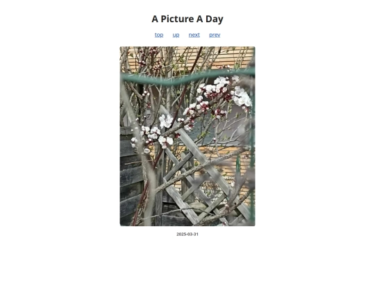 pages/2025/2025-03-31 screenshot