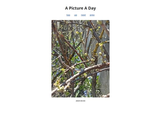 pages/2025/2025-04-03 screenshot
