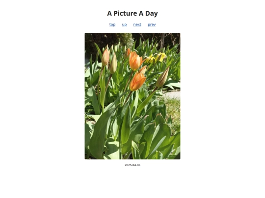 pages/2025/2025-04-06 screenshot