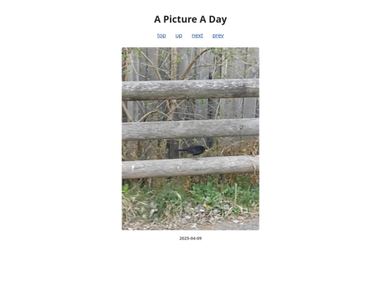 pages/2025/2025-04-09 screenshot