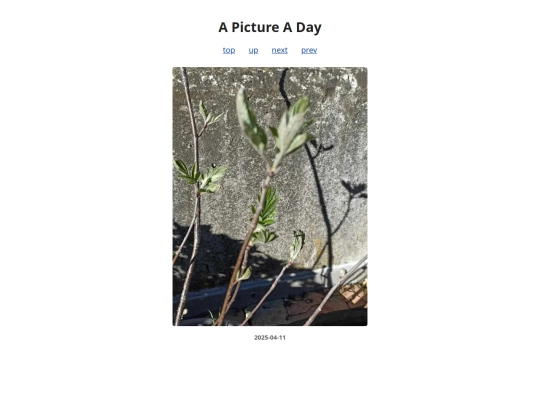 pages/2025/2025-04-11 screenshot
