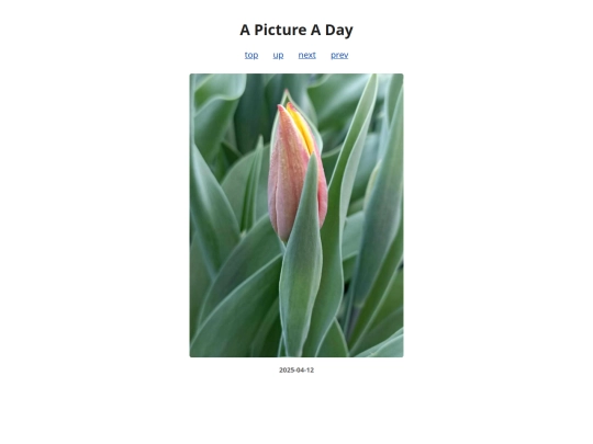pages/2025/2025-04-12 screenshot