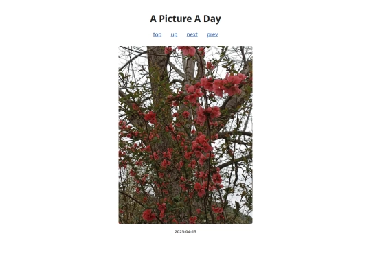 pages/2025/2025-04-15 screenshot