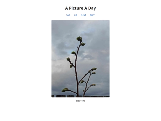 pages/2025/2025-04-19 screenshot