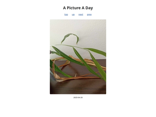 pages/2025/2025-04-20 screenshot