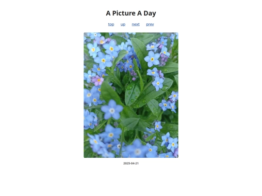 pages/2025/2025-04-21 screenshot