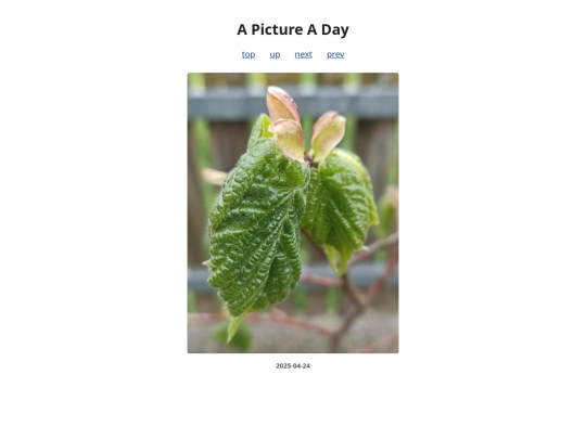 pages/2025/2025-04-24 screenshot