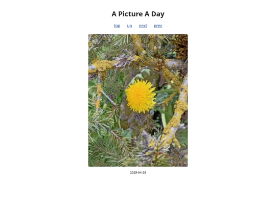 pages/2025/2025-04-25 screenshot